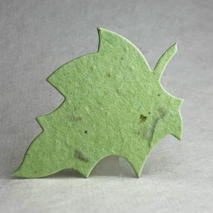May include: A light green leaf-shaped cutout made of textured paper with visible organic flecks throughout its surface. The cutout features a distinct pointed tip and jagged edges, mimicking the natural form of a deciduous tree leaf.