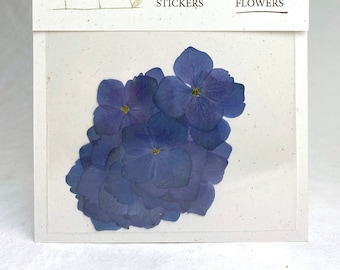 Dark Midnight Blue Hydrangea Pressed Flowers - Pack of 25 - 1/2" to 1 1/2" Diameter