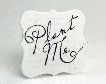 Set of 12 | Wildflower Seed Paper Tags | 2.5" x 2.5" | Plant Me | Planting Directions on Reverse