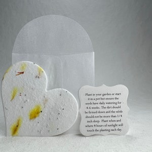 Large Yellow Recycled Seed Paper Hearts 07s 2.85"w x 2.5"h with glassine envelope and planting guide set of 24