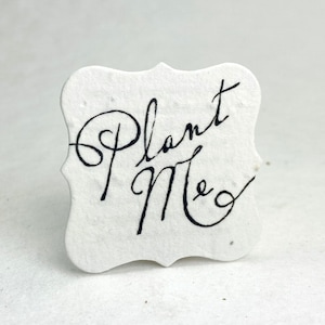 Wildflower Seed Paper Tags | 1.75" x 1.75" | Planting Directions on Reverse | Set of 100