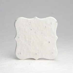 Seed Paper Tags 1.75" wide by 1.75" tall Tiny Wildflower White Cotton Shapes for Weddings or Events set of 50