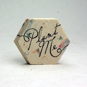Seed Paper Hexagons Wildflower Recycled Junk Mail #47s 2 inch Shapes for Weddings or Events Set of 24 Plant Me