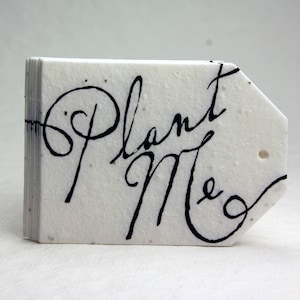 Large Seed Paper Tags 2.5" wide by 3.375" tall Wildflower White Cotton Recycled #10s Plant Me set of 24