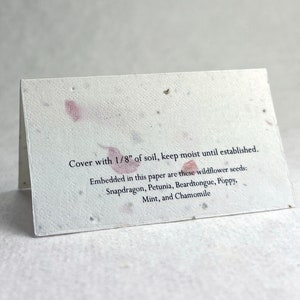Bulk Set Pink Petal Flower Seed Paper 24s Folding Card Table Card - Place Card - Name Card - Gift Card - Set of 100 with instructions