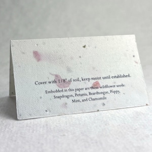 Pink Petal Flower Seed Paper 24s Folding Card Table Card - Place Card - Name Card - Gift Card - Set of 12 with instructions