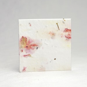 Of The Earth Seed Paper Tags 2" wide by 2" tall Wildflower Petal Cotton Squares for Weddings or Events set of 48 - Pick Your Paper
