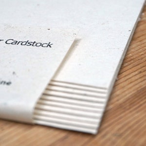 Cardstock Seed Paper Heavy weight (60lb.) 8.5" x 11" pack of 10 handmade lotka paper sheets