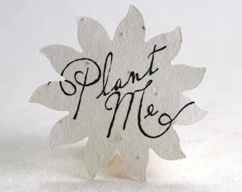 Large "Plant Me" Seed Paper Flowers 2.4"w x 2.4"h Wildflower for Weddings or Events set of 24