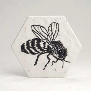 Bee Hexagon Seed Paper Tag Black Print Cotton for Weddings or Events - Plant me! Set of 24 or 100