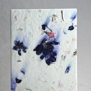 Handmade Seed Paper with wildflower seeds - Flat (not folding) cards pick your paper 4x6 panels