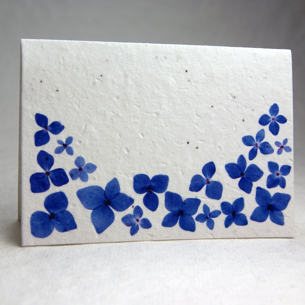 Hydrangea Seeds - Etsy