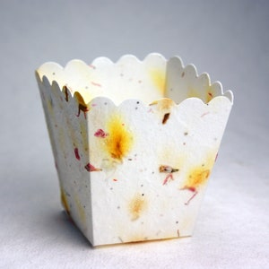 Petal Paper Favor Box made from Seed Paper 3 x 2.5" Popcorn Tub - Pick your Paper