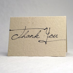 Bulk Seed Paper Thank You Cards Blank Inside Recycled Lotka Paper Cut Edge Set of 100