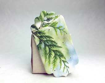 Cedar Branch Seed Paper Gift Tag - Set of 12 - 3" long by 1.5" wide with Plant me message