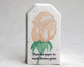 Peach Rose Seed Paper Gift Tag Flower Print Set of Twelve Tiny Tags