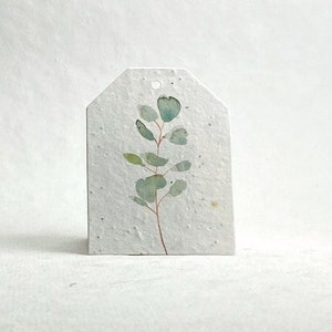 Watercolor Eucalyptus Large Tags | 2.5" wide by 3.375" tall | Wildflower Seed Handmade Paper | Set of 8