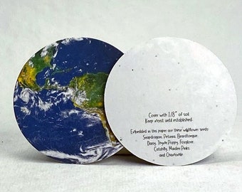 Kess InHouse Kess Original Happy Earth 12 Diameter Kess InHouse Kess Original Happy Earth 12 Diameter