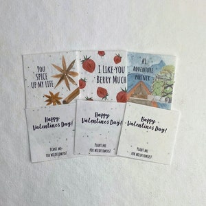 Contemporary Watercolor Valentines - Wildflower Handmade Seed Paper - 2&quot; Squares - Set of 12 - Mixed Set