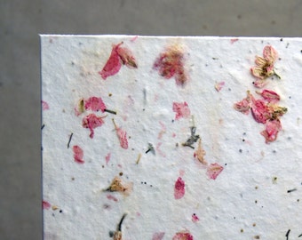 Handmade Seed Paper with Pink Petals and wild flower seeds - 10 cards #24S 5x7 panels with recycled envelopes