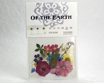 Pressed Flowers and Fern - pack of 25, 1/4 to 2 inch size mixed botanicals in shades of pink, blue, purple, yellow, white and red