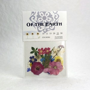 Pressed Flowers and Fern - pack of 25, 1/4 to 2 inch size mixed botanicals in shades of pink, blue, purple, yellow, white and red
