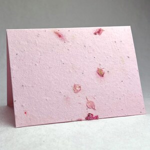 Wildflower Handmade Seed Paper Cards | Blank Inside | With Recycled Envelopes and Planting Guides | Pick Your Paper