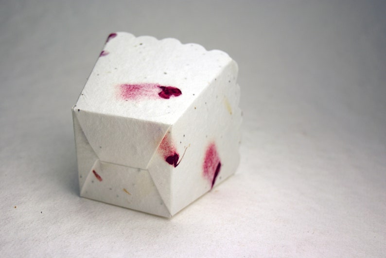 May include: A white paper cupcake liner with a scalloped edge and pink flower petal accents.
