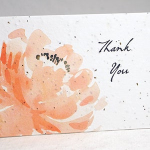 Peach Peony Thank You Watercolor Print Wildflower Seed Paper Handmade Blank Recycled Card set of 3 or 10