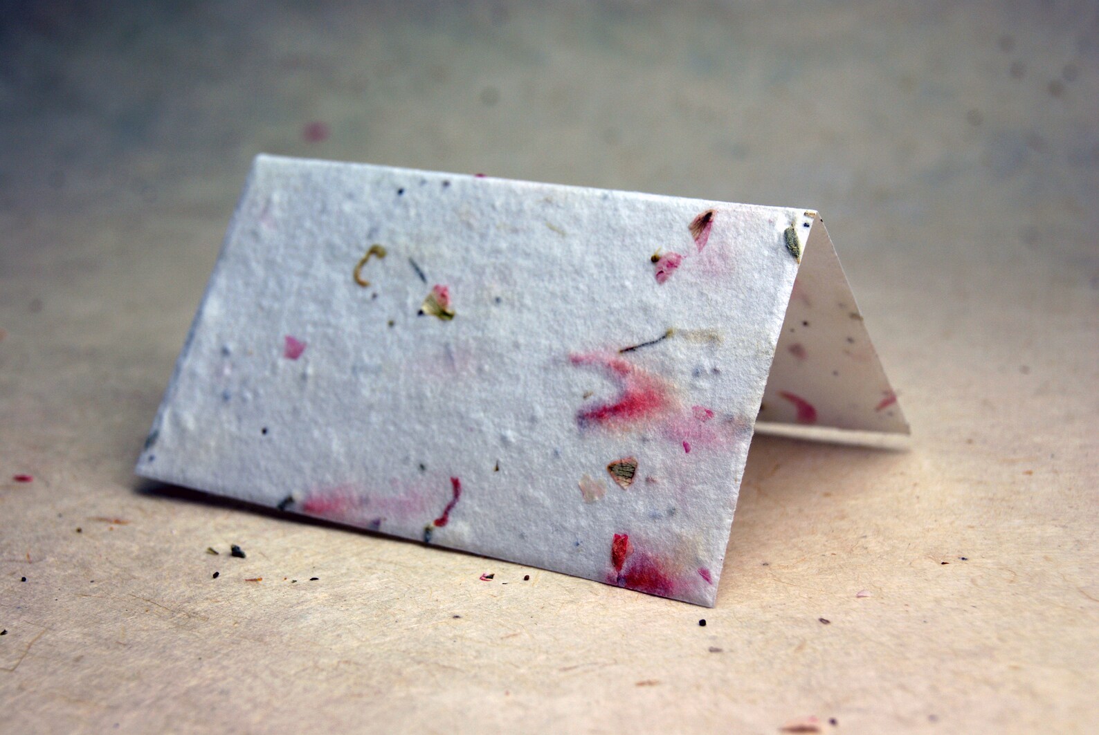 Flower Seed Paper Card Table Card Place Card Name Card Etsy