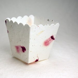 May include: A small, white, paper cup with a scalloped edge. The cup is made of recycled paper and has red and pink flower petals embedded in it.