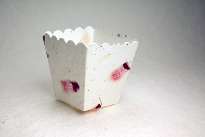 May include: A small, white, paper cup with a scalloped edge. The cup is made of recycled paper and has red and pink flower petals embedded in it.