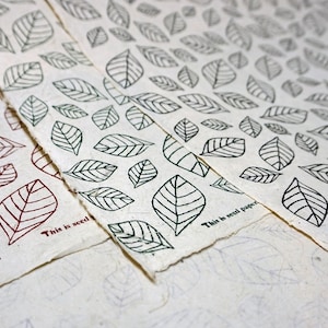 Of The Earth Seed Paper | 20x30 Handmade Sheet | Gift Wrapping Paper | Botanical Prints | Mixed Set
