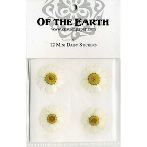Mini Daisy 1.5" Real Pressed Flower Decorating Stickers - pack of 12 - Not Dyed