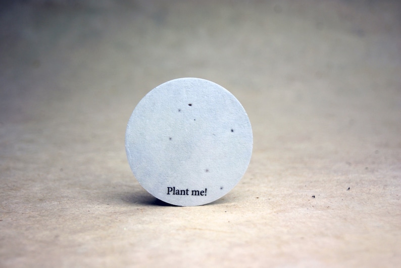 Earth Seed Paper Circle 2 in. - Thumbnail 3