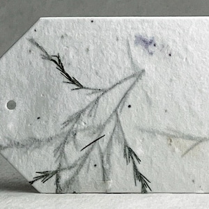 May include: A rectangular white paper tag with a beveled corner and a circular hole punch. The surface features a textured, fibrous appearance with embedded dark specks and a delicate, hand-drawn black ink illustration of pine-like branches.