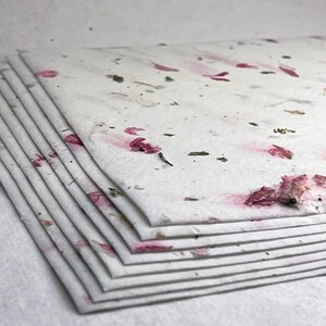 Pink Petals and Green Chard 52s Seed Paper Heavy weight (80lb.) 8.5" x 11" handmade card stock cotton fiber