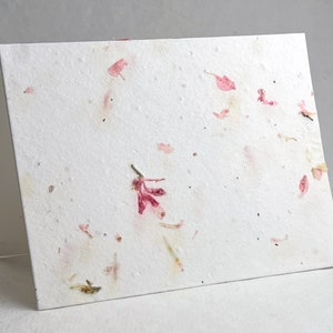 Pink Flower Petal and Wildflower Seed Plantable Handmade Cotton Paper Card set of 4 with guides and envelopes