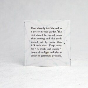 May include: A white paper seed packet with black text instructions for planting. Plant directly into the soil in a pot or in your garden. The dirt should be firmed down after sowing and the seeds should not be more than 1/4 inch deep. Keep moist for 4-6 weeks and ensure 4 hours of sunlight each day in order to germinate properly.