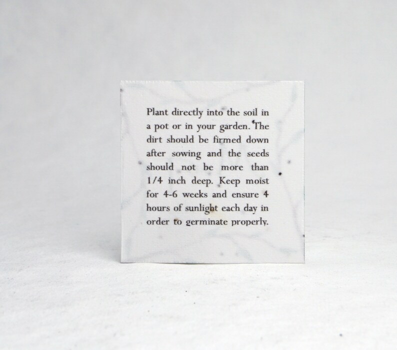 May include: A white paper seed packet with black text instructions for planting. Plant directly into the soil in a pot or in your garden. The dirt should be firmed down after sowing and the seeds should not be more than 1/4 inch deep. Keep moist for 4-6 weeks and ensure 4 hours of sunlight each day in order to germinate properly.