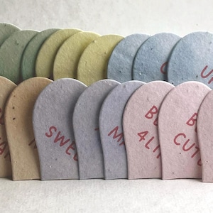 Custom Large Seed Paper Heart Valentines - Sweet Messages - Mixed Set - Wildflower Seeds - 2.85" x 2.5" - Set of 18