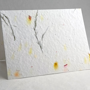 Tree Fern and Safflower Wildflower Seed Plantable Handmade Cotton Paper Card Set of 4 with envelopes and guides.