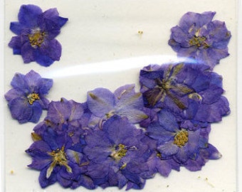 Purple Petal Pressed Flowers - pack of 25  1 inch diameter