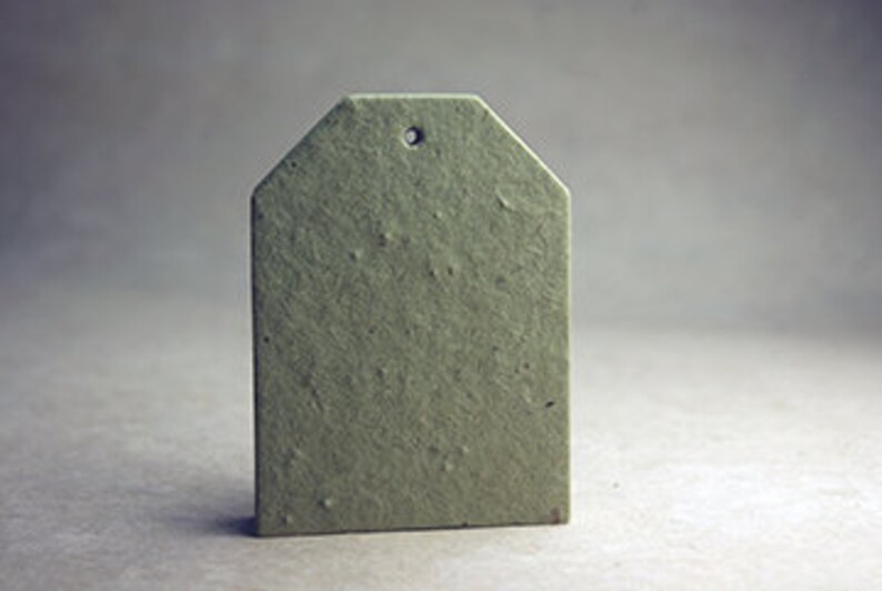 May include: A single, olive-green tag with a textured surface and a small hole at the top. The tag has a rectangular shape with a pointed top, and it stands upright against a neutral background.
