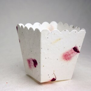May include: A white paper container with a scalloped edge and a speckled texture. The container has pink and red flower petals embedded in the paper.