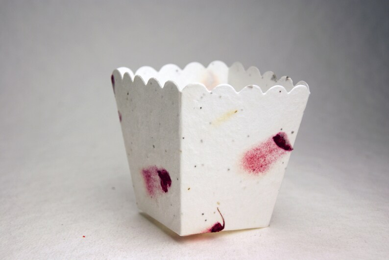 May include: A white paper container with a scalloped edge and a speckled texture. The container has pink and red flower petals embedded in the paper.