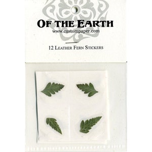 Leather Fern 1.25" Real Pressed Flower Decorating Stickers - pack of 12 - Not Dyed