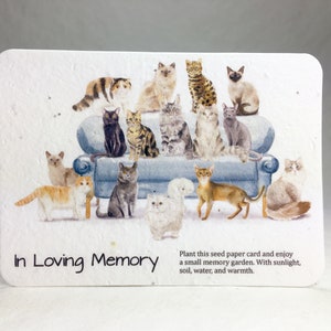 In Loving Memory Cat Lover Seed Paper Memorial Card - Set of Six with Envelopes