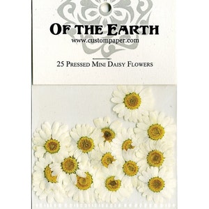 Mini Daisy Pressed Flowers - pack of 25 - 1/2" - 1" inch diameter yellow center white petal (great for iphone art)
