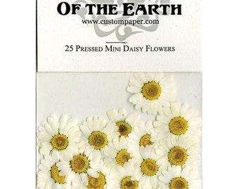 Mini Daisy Pressed Flowers - pack of 25 - 1/2" - 7/8" inch diameter yellow center white petal (great for iphone art)
